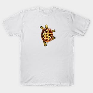 Turtle T-Shirt